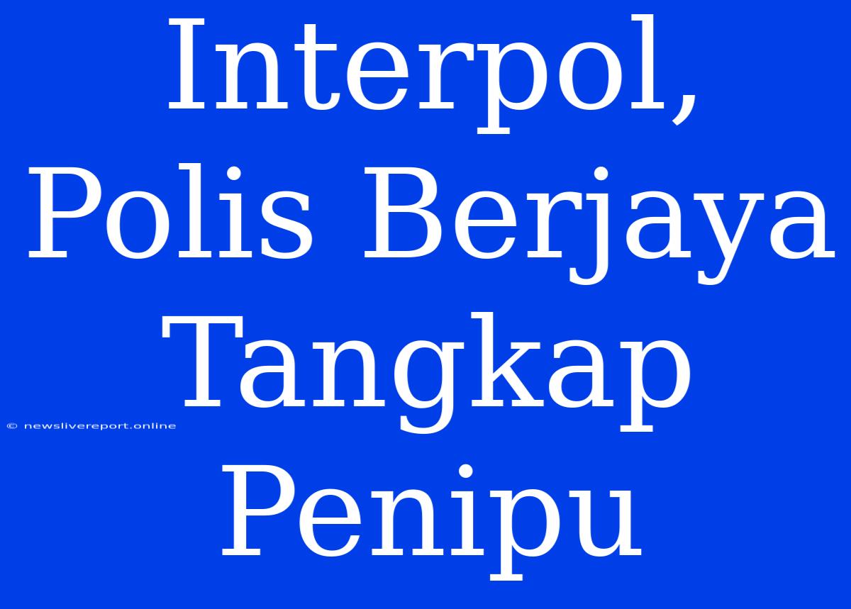 Interpol, Polis Berjaya Tangkap Penipu