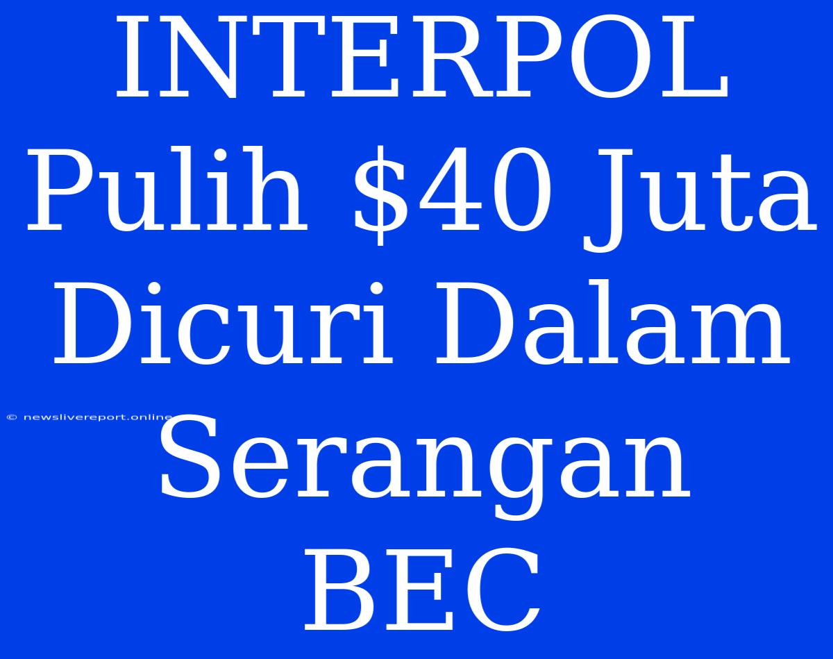 INTERPOL Pulih $40 Juta Dicuri Dalam Serangan BEC