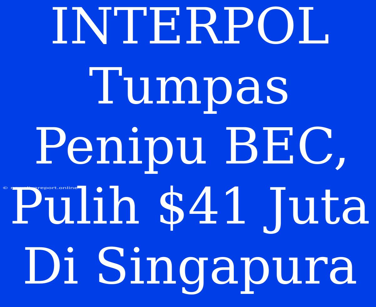 INTERPOL Tumpas Penipu BEC, Pulih $41 Juta Di Singapura