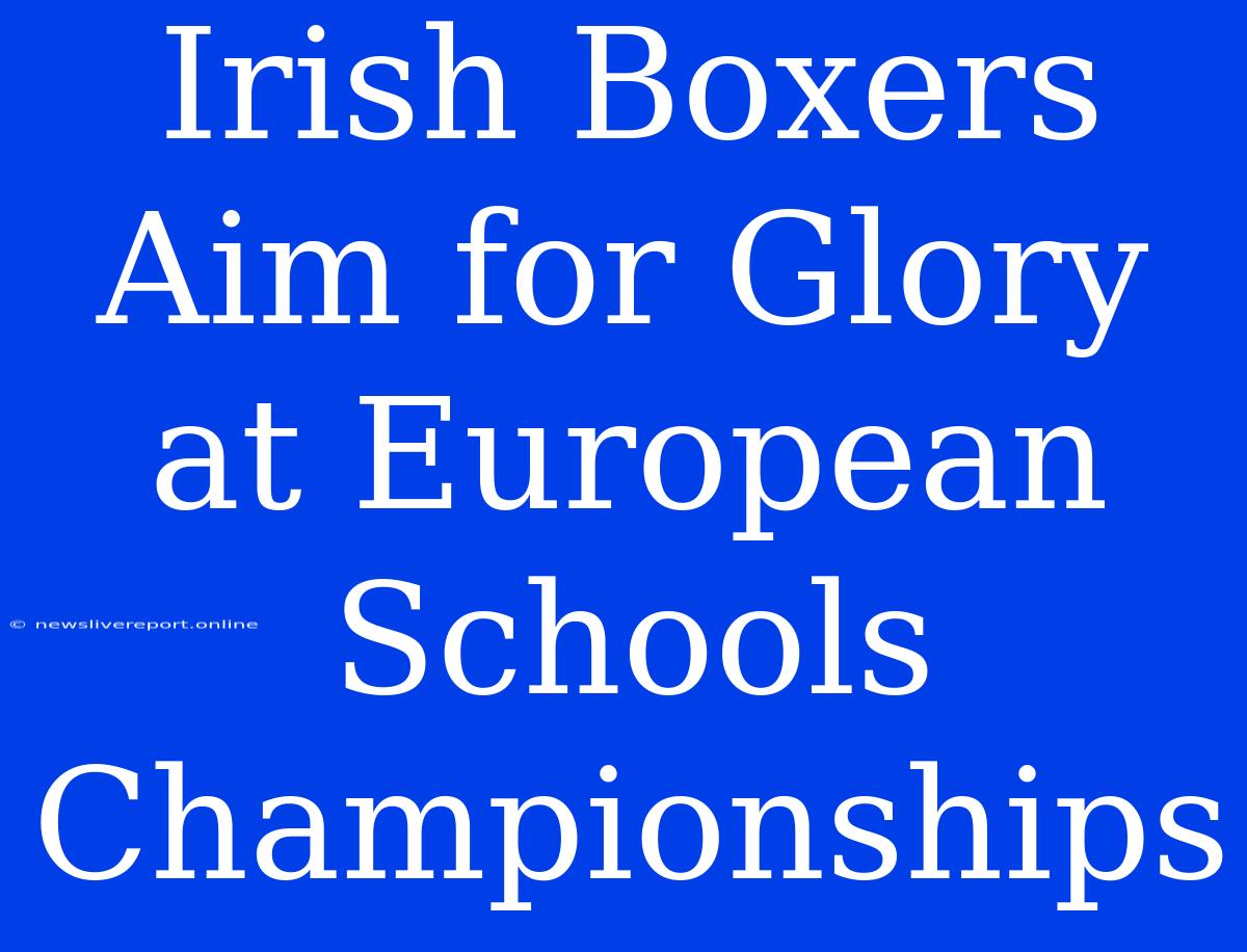 Irish Boxers Aim For Glory At European Schools Championships