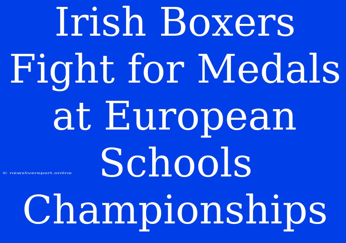 Irish Boxers Fight For Medals At European Schools Championships