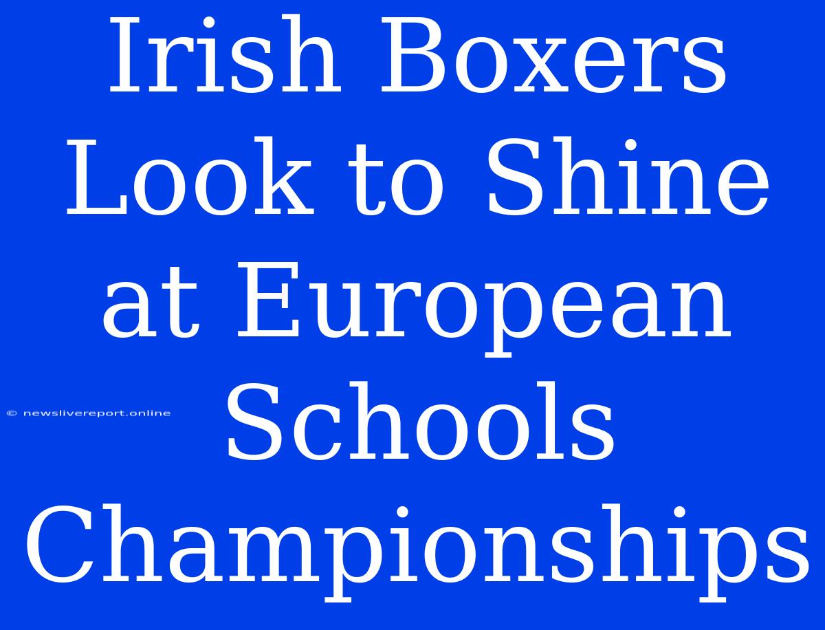 Irish Boxers Look To Shine At European Schools Championships