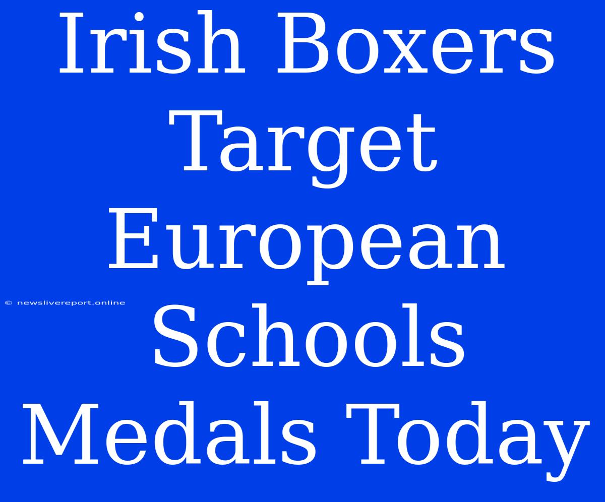 Irish Boxers Target European Schools Medals Today