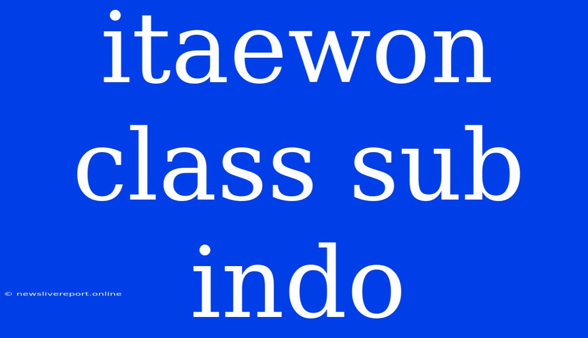 Itaewon Class Sub Indo