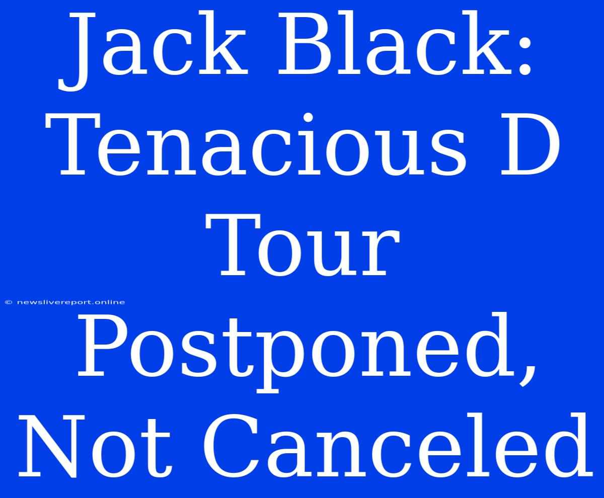 Jack Black: Tenacious D Tour Postponed, Not Canceled