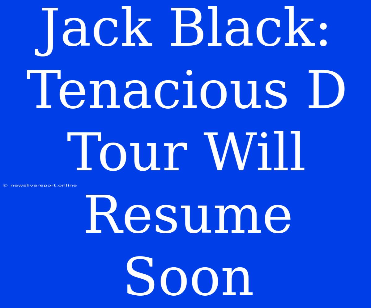 Jack Black: Tenacious D Tour Will Resume Soon