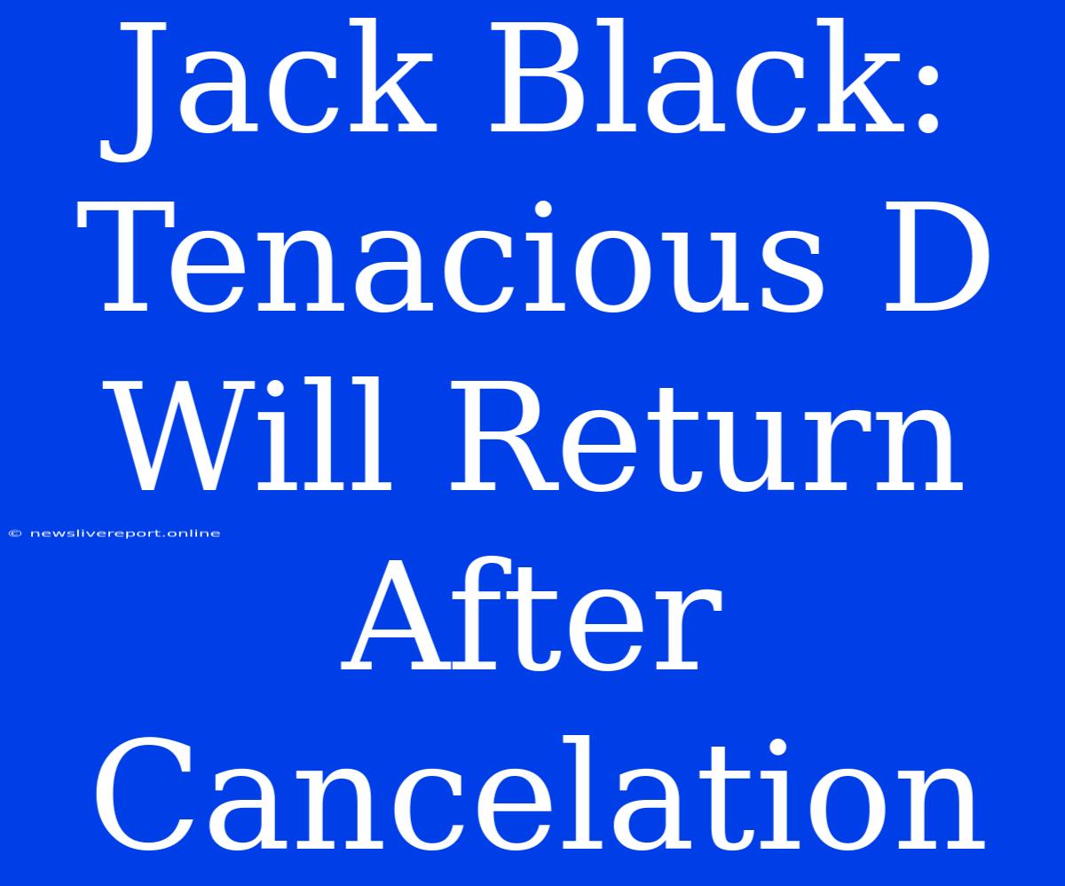 Jack Black: Tenacious D Will Return After Cancelation