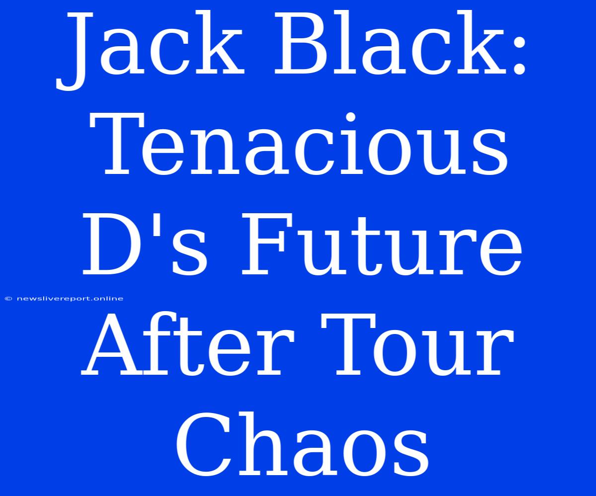 Jack Black: Tenacious D's Future After Tour Chaos