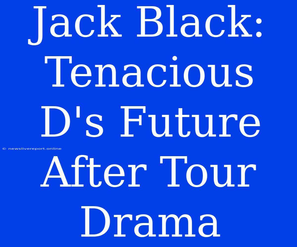 Jack Black: Tenacious D's Future After Tour Drama