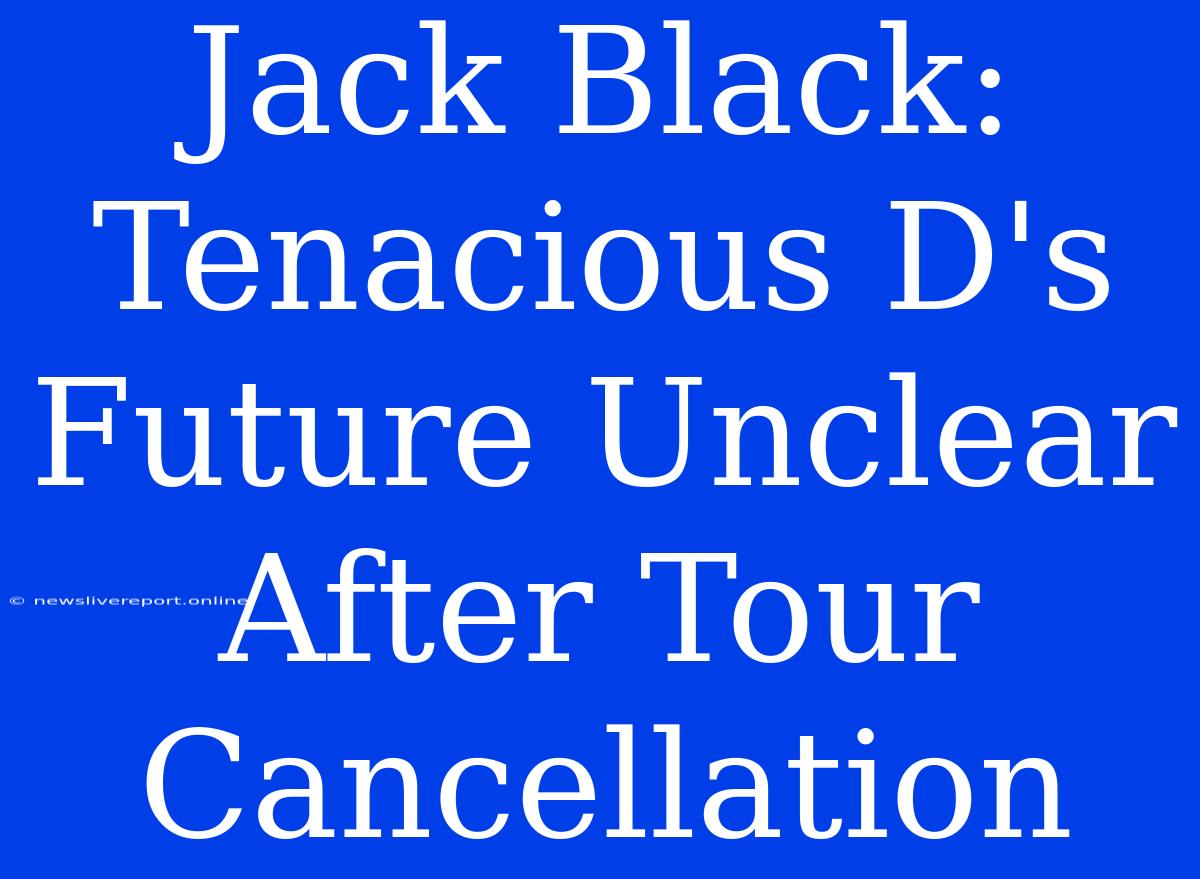 Jack Black: Tenacious D's Future Unclear After Tour Cancellation