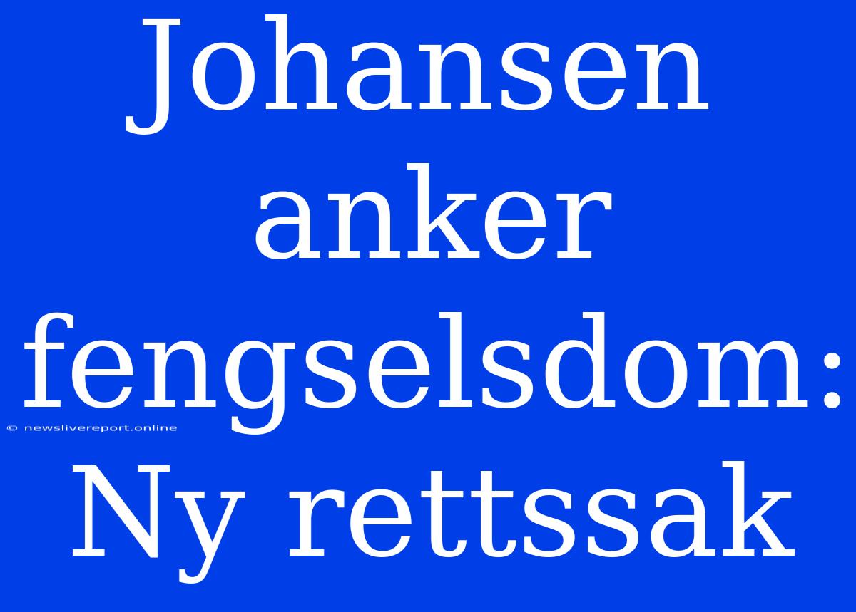 Johansen Anker Fengselsdom: Ny Rettssak