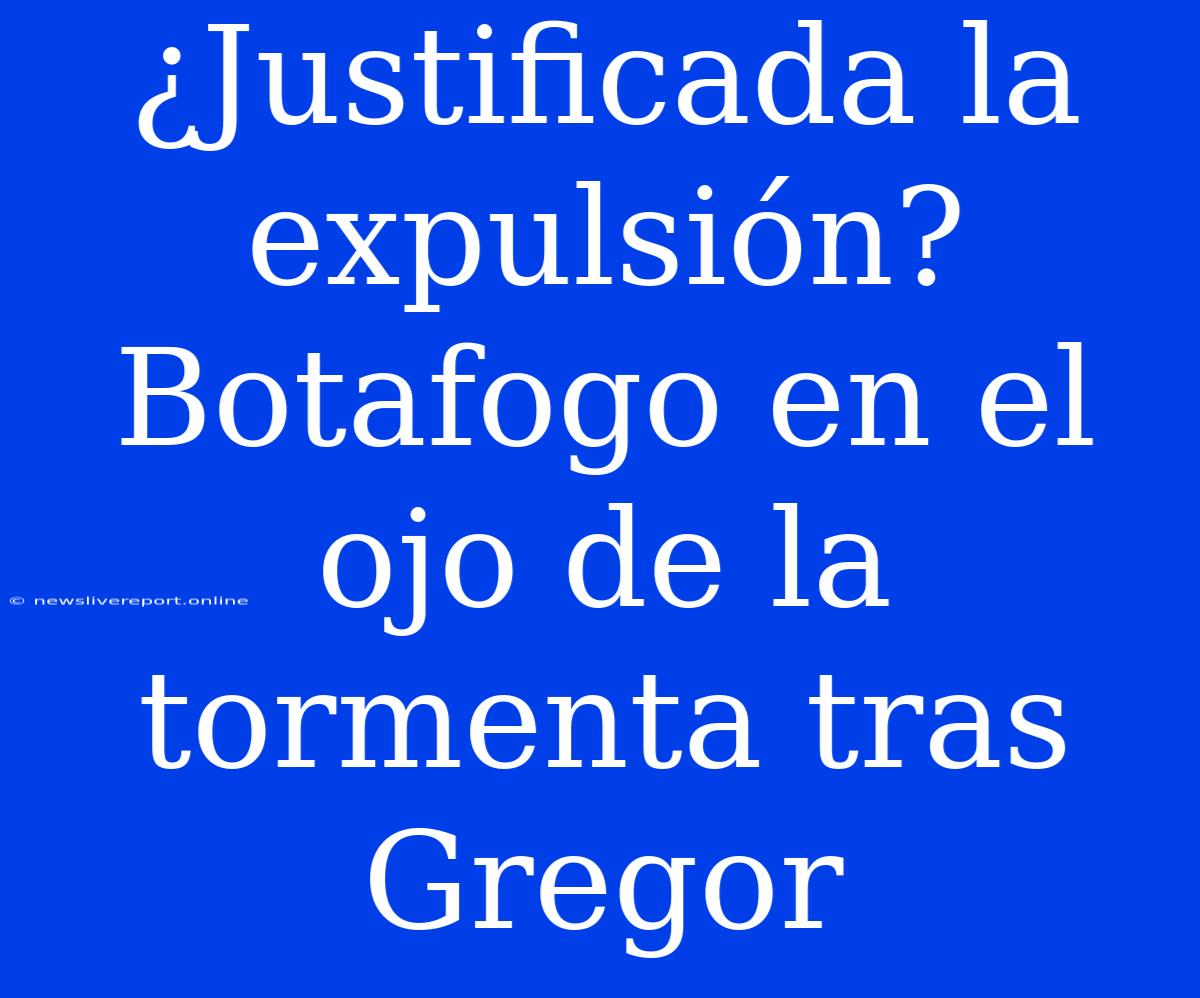 ¿Justificada La Expulsión? Botafogo En El Ojo De La Tormenta Tras Gregor