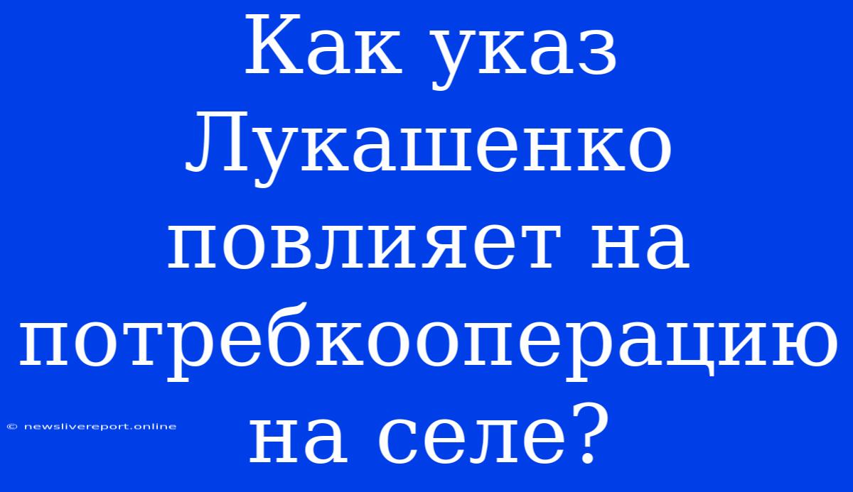 Как Указ Лукашенко Повлияет На Потребкооперацию На Селе?