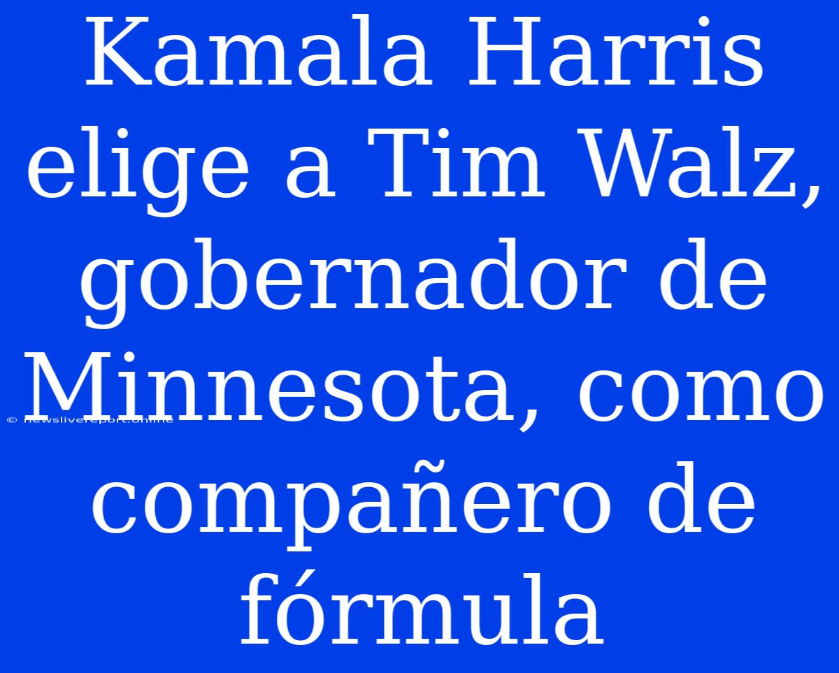 Kamala Harris Elige A Tim Walz, Gobernador De Minnesota, Como Compañero De Fórmula