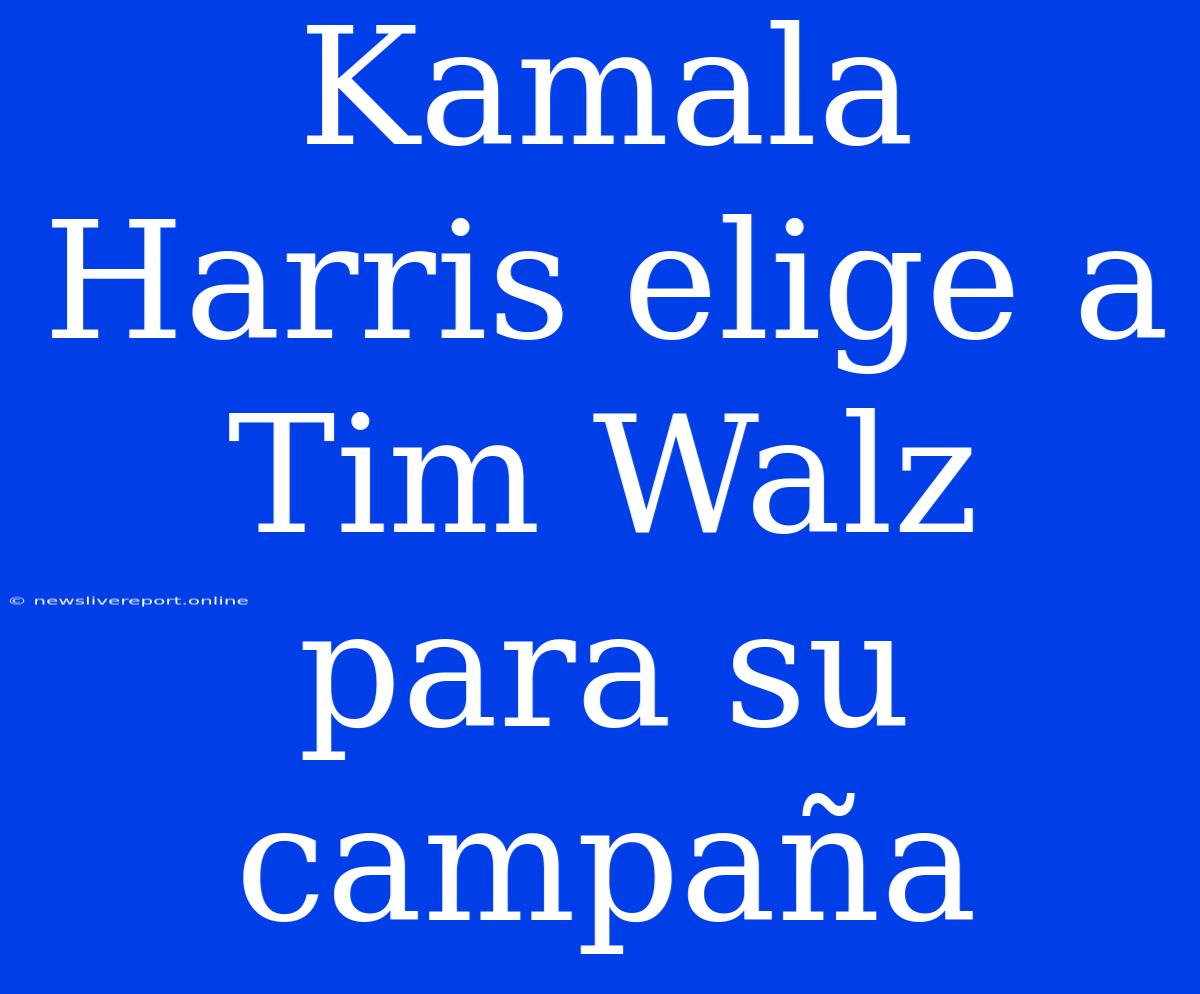 Kamala Harris Elige A Tim Walz Para Su Campaña