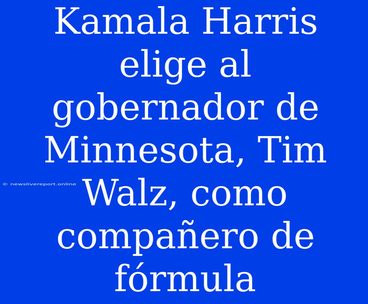 Kamala Harris Elige Al Gobernador De Minnesota, Tim Walz, Como Compañero De Fórmula