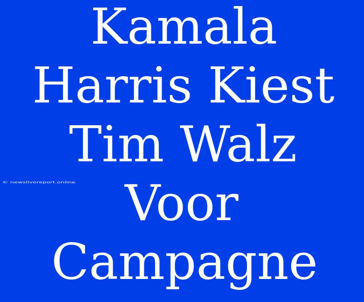 Kamala Harris Kiest Tim Walz Voor Campagne