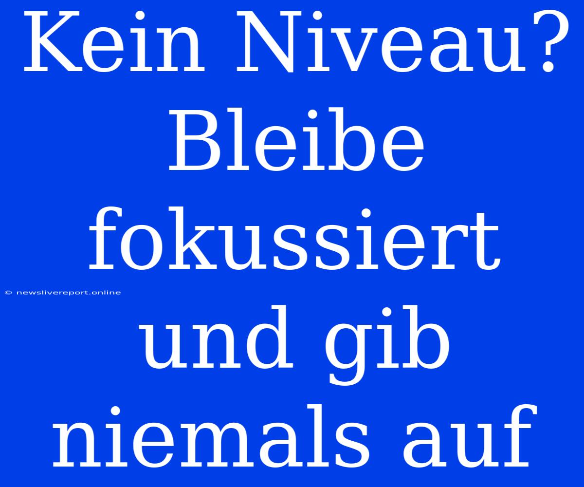 Kein Niveau? Bleibe Fokussiert Und Gib Niemals Auf