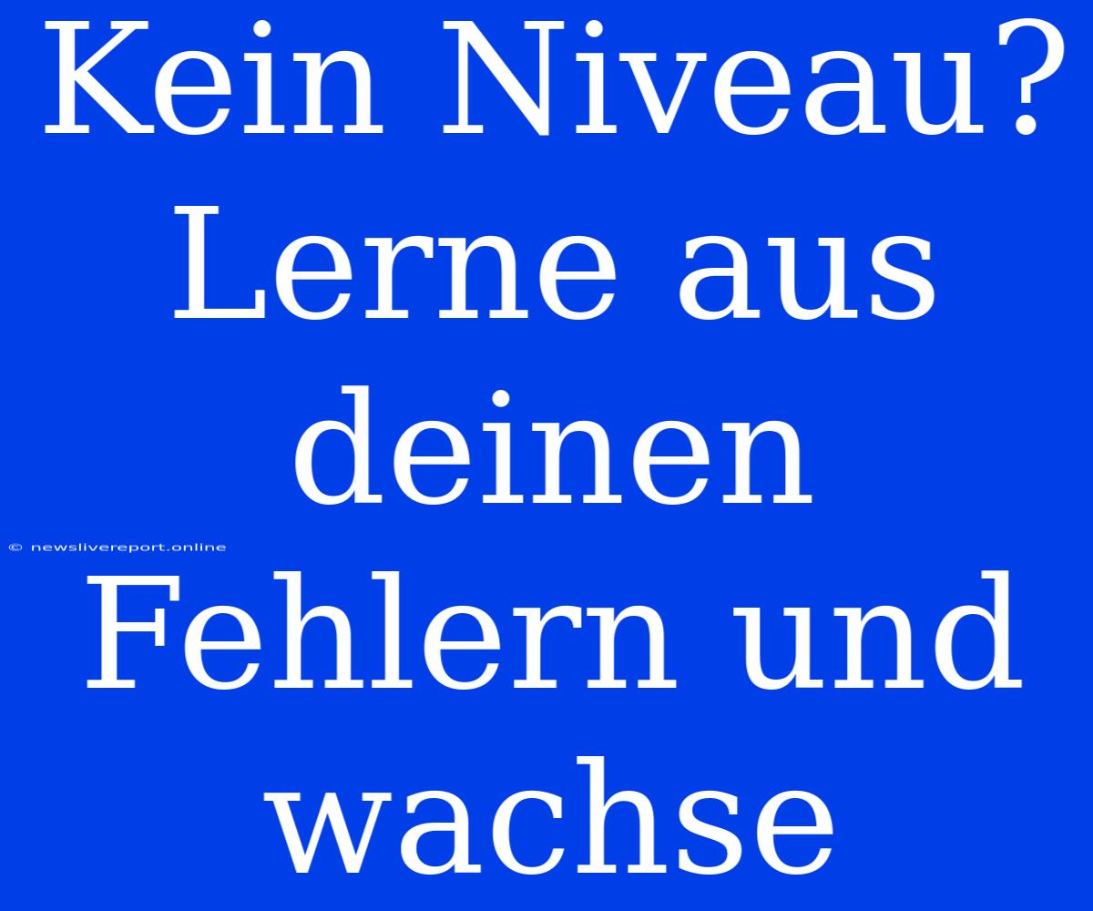 Kein Niveau? Lerne Aus Deinen Fehlern Und Wachse