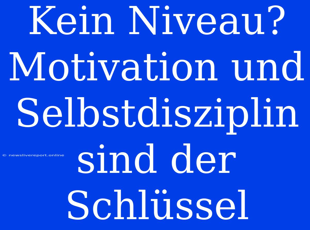 Kein Niveau? Motivation Und Selbstdisziplin Sind Der Schlüssel