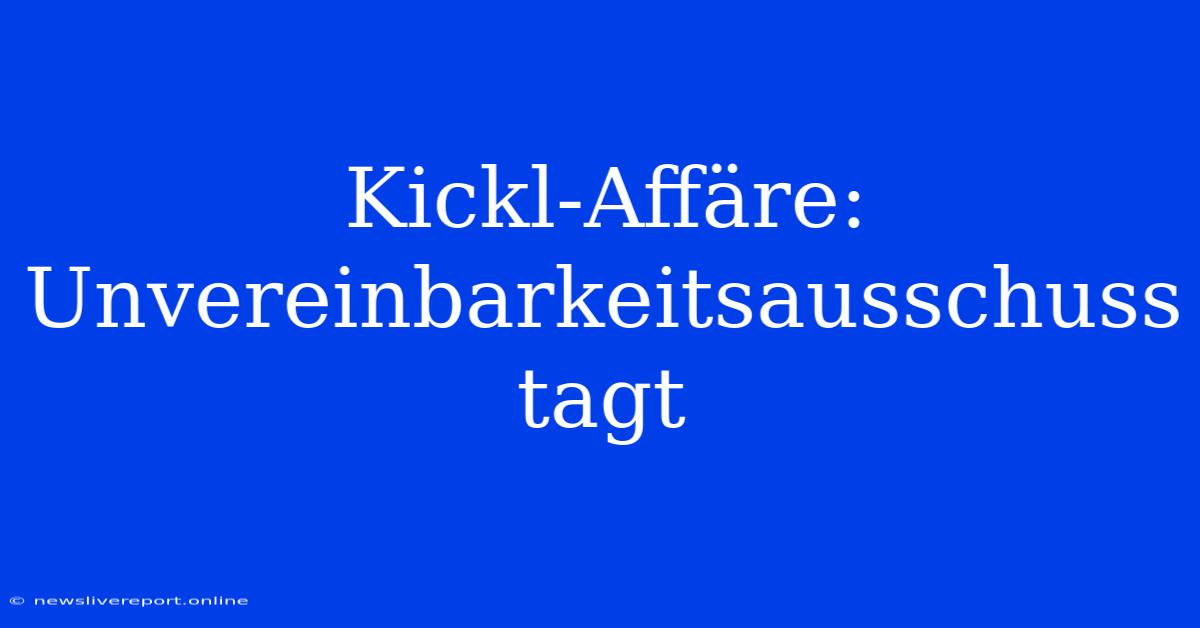 Kickl-Affäre: Unvereinbarkeitsausschuss Tagt