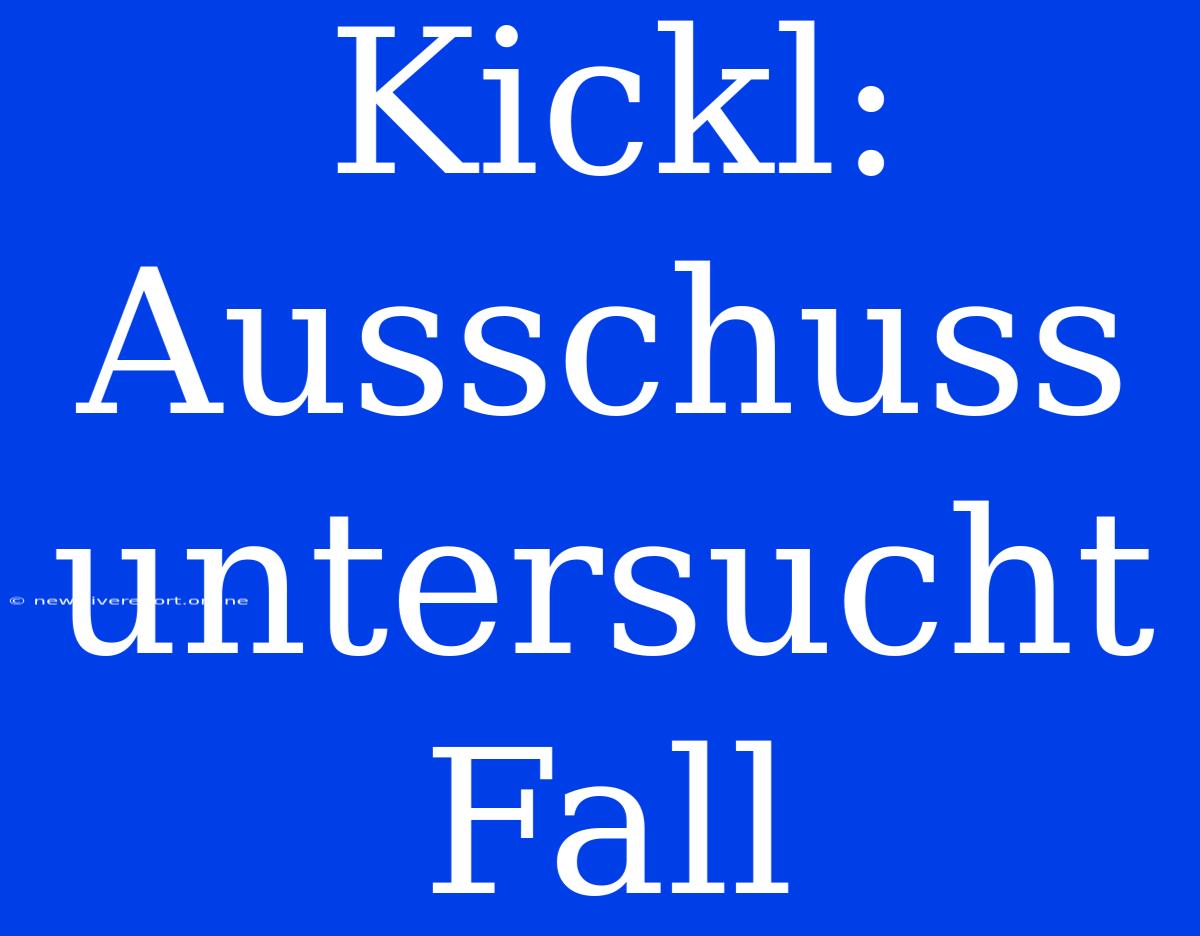 Kickl: Ausschuss Untersucht Fall