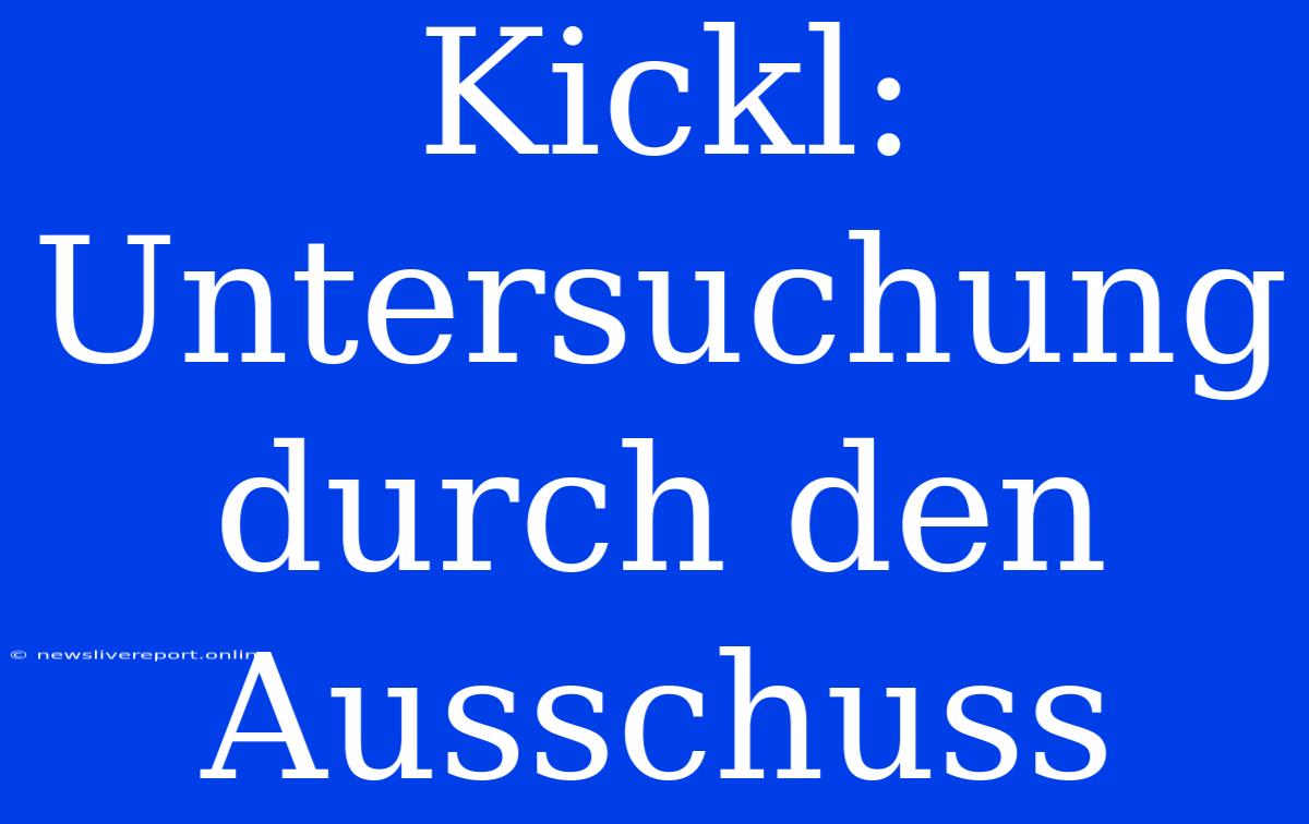 Kickl: Untersuchung Durch Den Ausschuss