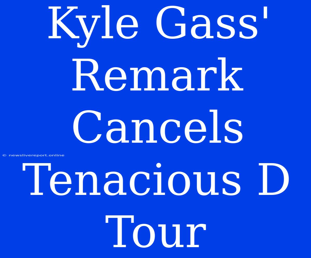 Kyle Gass' Remark Cancels Tenacious D Tour