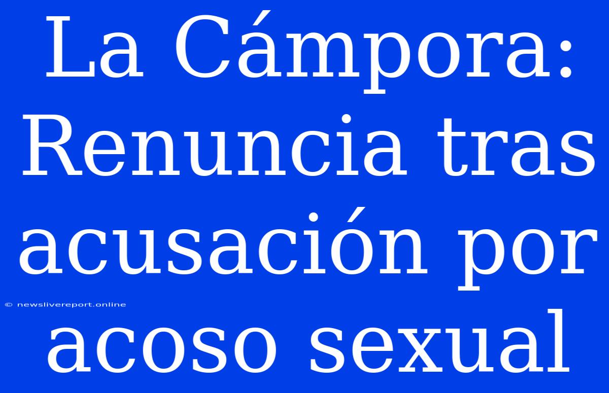 La Cámpora: Renuncia Tras Acusación Por Acoso Sexual