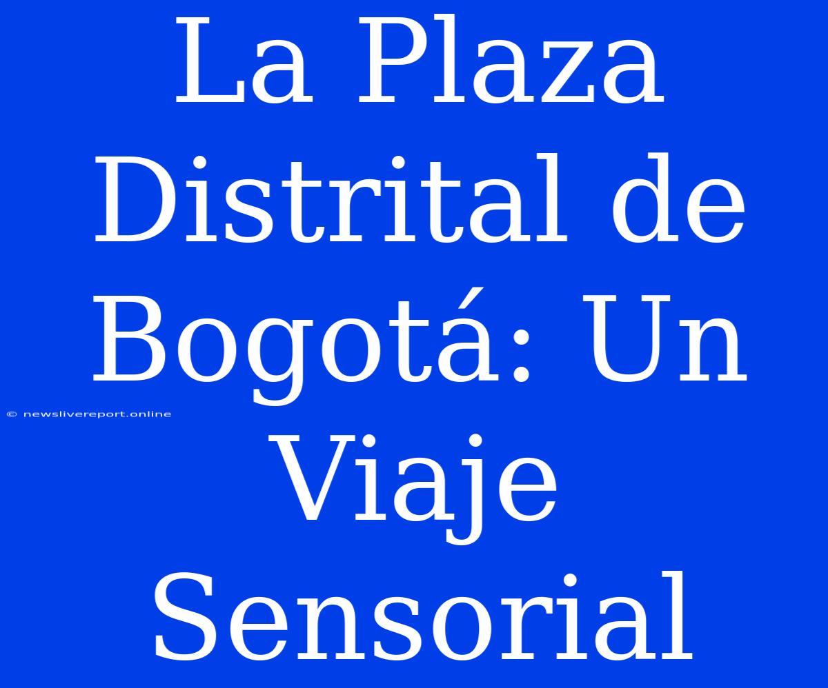 La Plaza Distrital De Bogotá: Un Viaje Sensorial