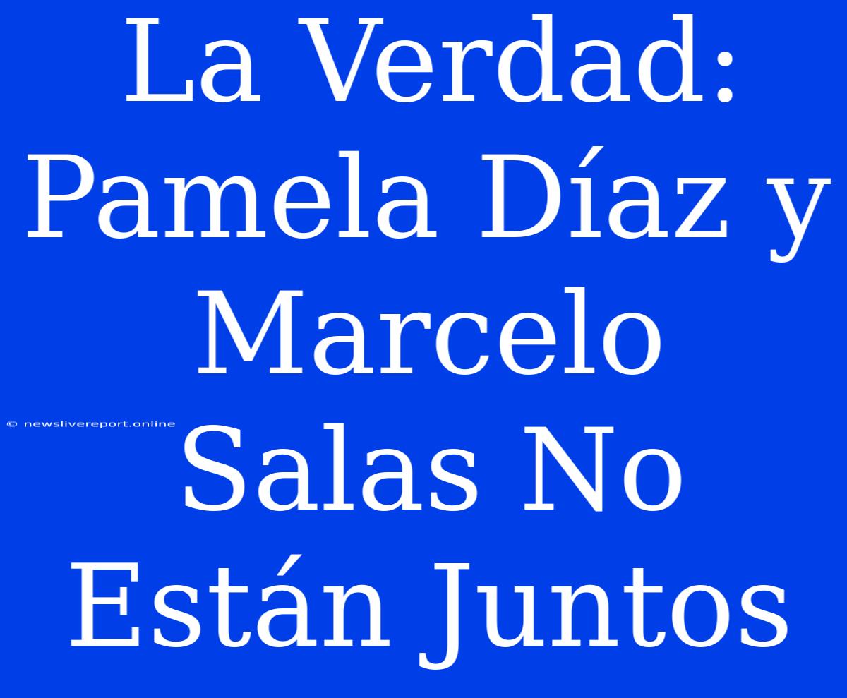 La Verdad: Pamela Díaz Y Marcelo Salas No Están Juntos