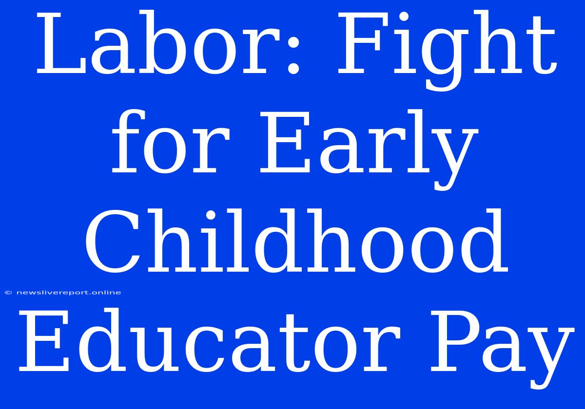 Labor: Fight For Early Childhood Educator Pay