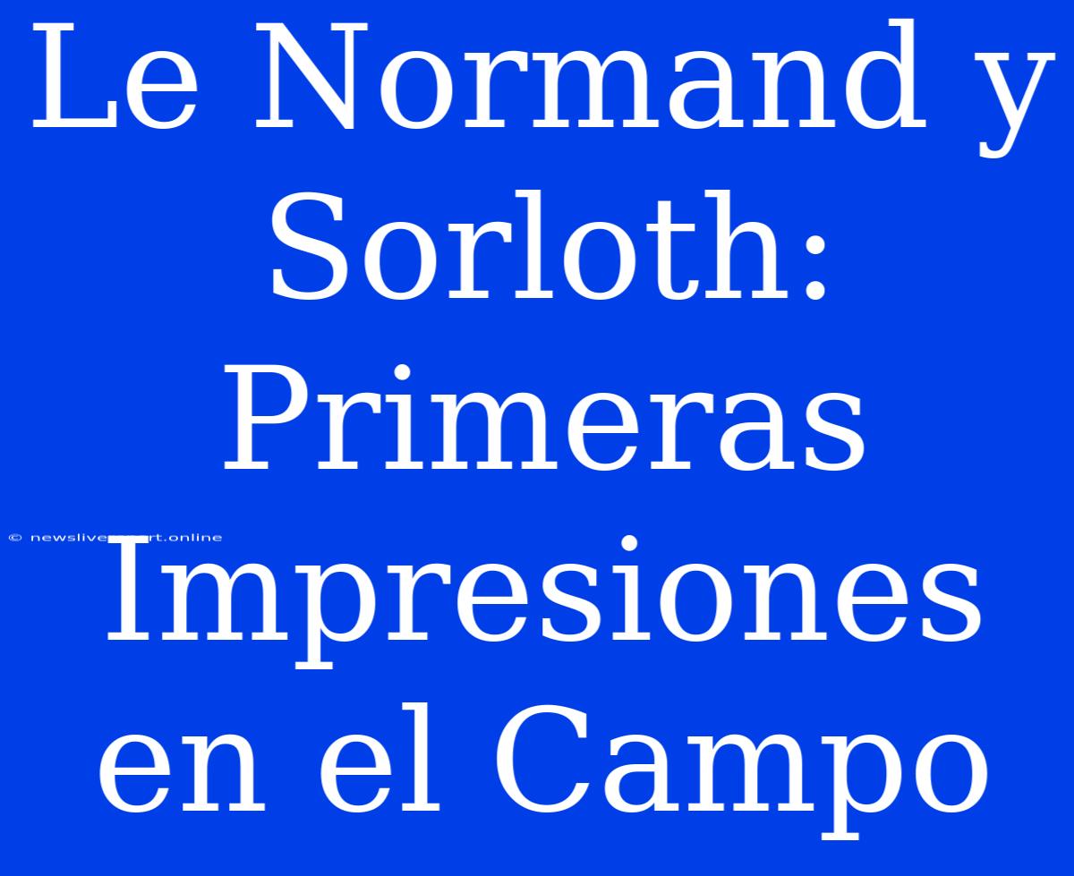 Le Normand Y Sorloth: Primeras Impresiones En El Campo