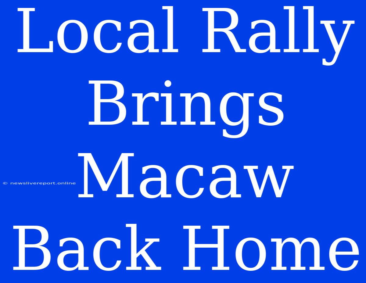 Local Rally Brings Macaw Back Home