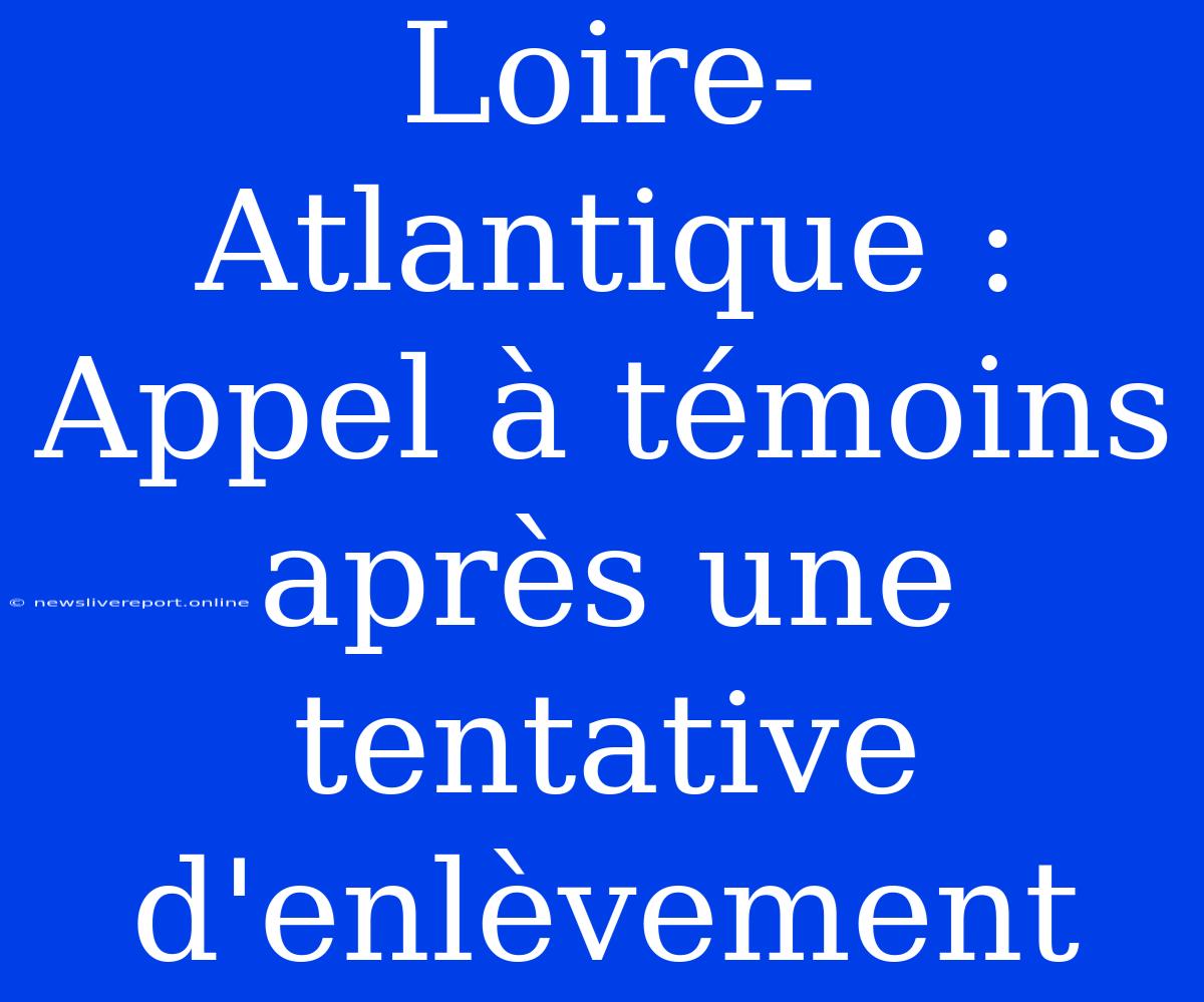 Loire-Atlantique : Appel À Témoins Après Une Tentative D'enlèvement