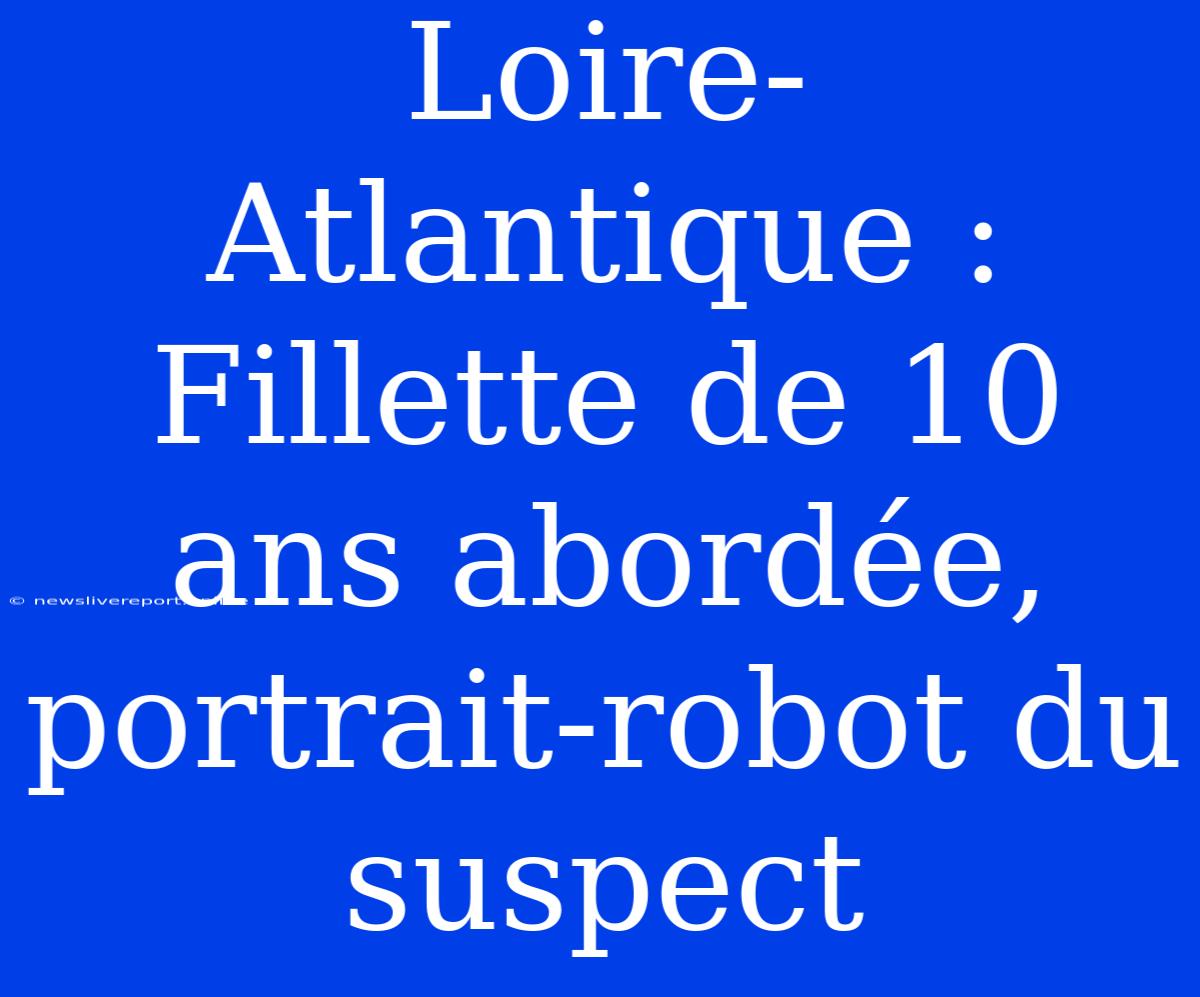 Loire-Atlantique : Fillette De 10 Ans Abordée, Portrait-robot Du Suspect