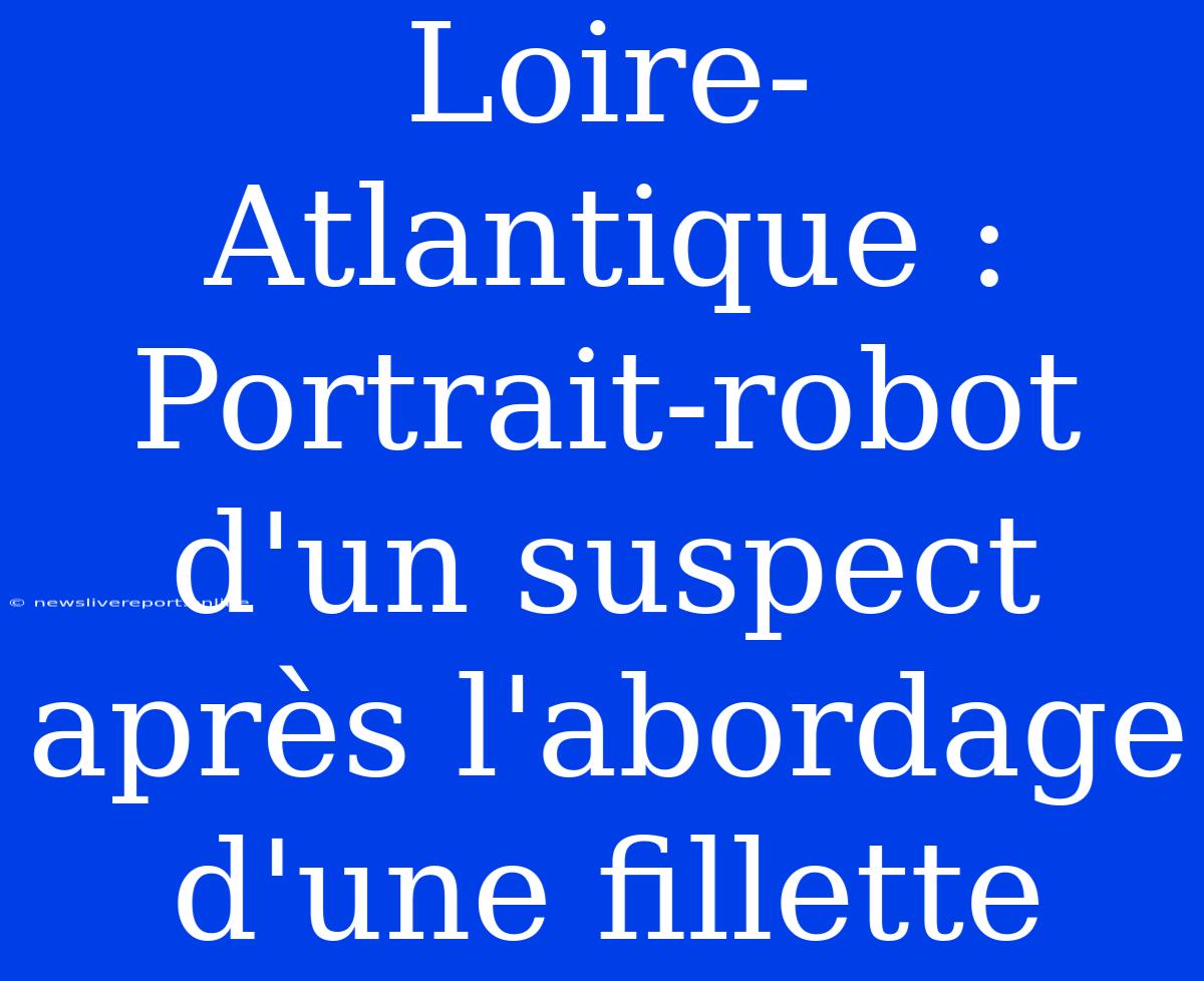 Loire-Atlantique : Portrait-robot D'un Suspect Après L'abordage D'une Fillette