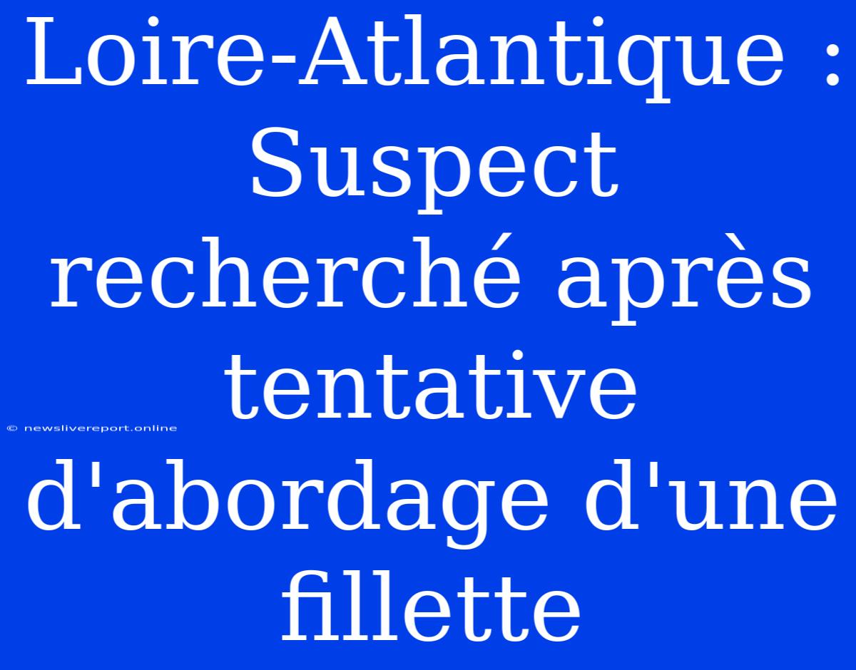 Loire-Atlantique : Suspect Recherché Après Tentative D'abordage D'une Fillette