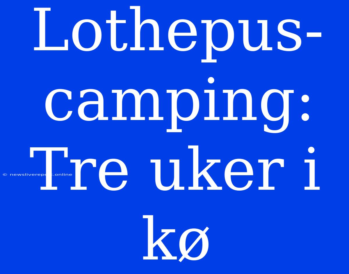 Lothepus-camping: Tre Uker I Kø