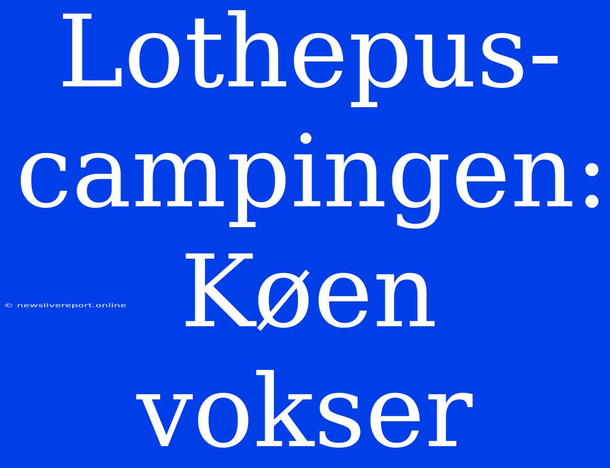 Lothepus-campingen: Køen Vokser