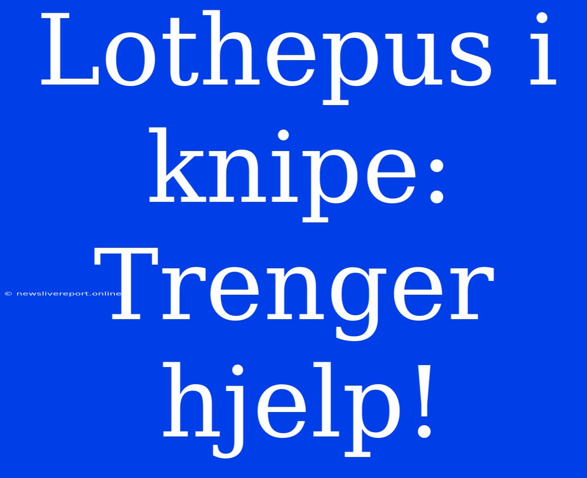 Lothepus I Knipe: Trenger Hjelp!