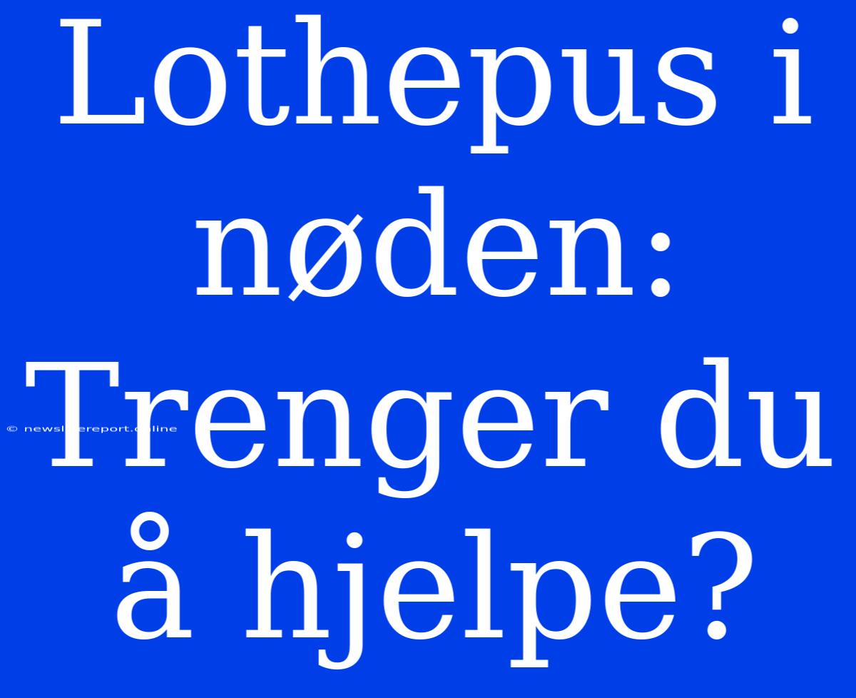 Lothepus I Nøden: Trenger Du Å Hjelpe?