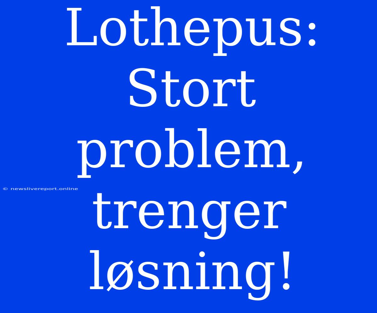 Lothepus: Stort Problem, Trenger Løsning!