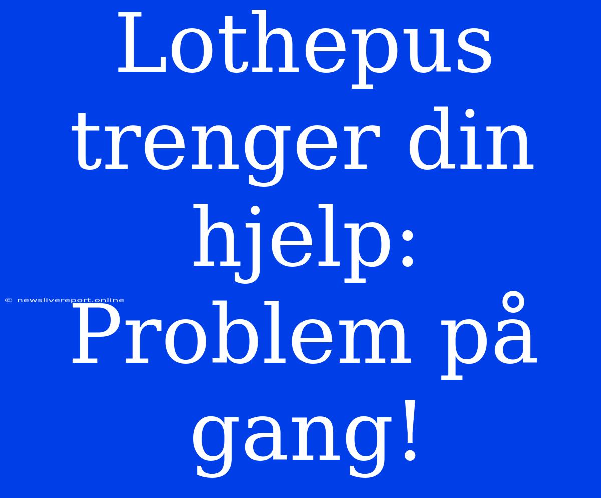 Lothepus Trenger Din Hjelp: Problem På Gang!