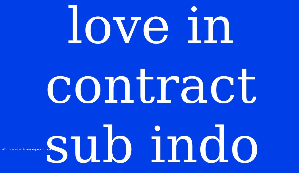 Love In Contract Sub Indo