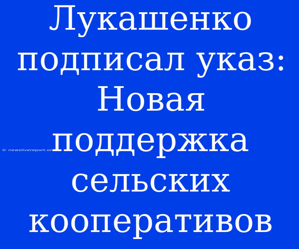 Лукашенко Подписал Указ: Новая Поддержка Сельских Кооперативов