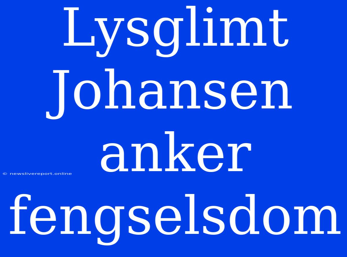 Lysglimt Johansen Anker Fengselsdom