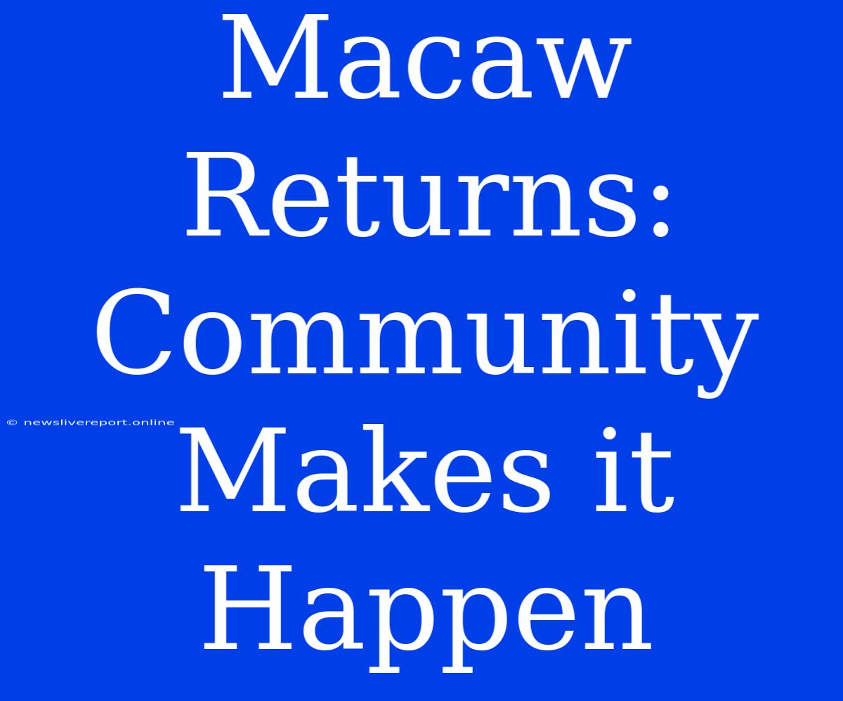 Macaw Returns: Community Makes It Happen