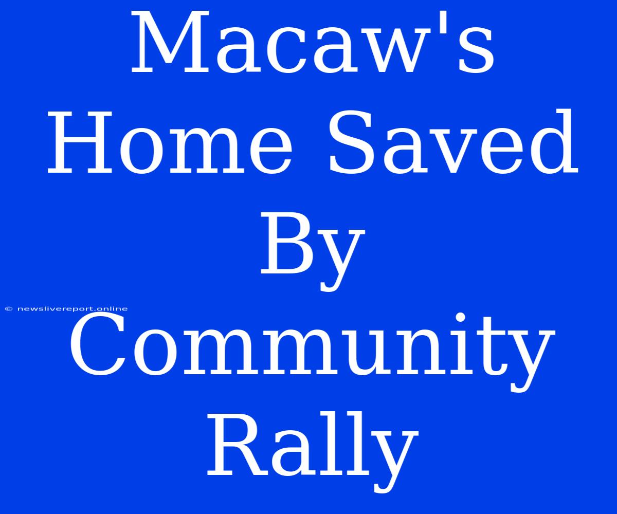 Macaw's Home Saved By Community Rally