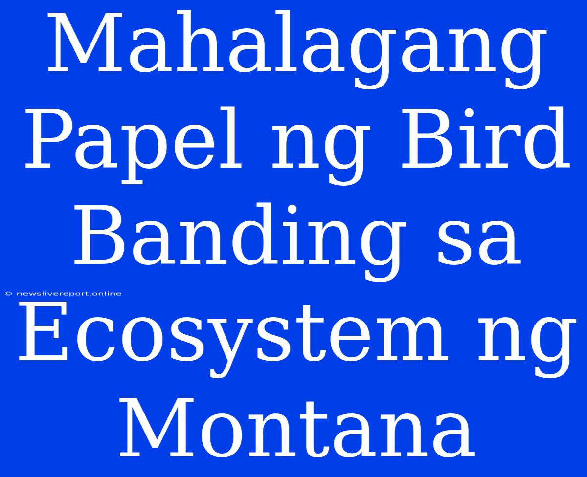 Mahalagang Papel Ng Bird Banding Sa Ecosystem Ng Montana